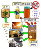 化廢油為生物柴油技術