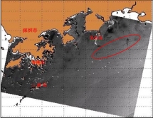 圖2：2010年5月22日10時18分ASAR油污遙感探測圖像