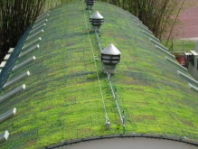 Developing green roofs