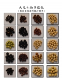 中国大豆的生物多样性