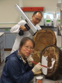 Prof. Chiu Siu-wai and a technician demonstrate 'Paint Coating' and 'Micro-drill Sampling'.