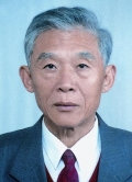 Prof. Chen Guoliang of the Division of Information Technological Sciences