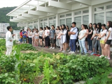 Secondary Six students joining ‘OneDay@CUHK’ visit the green roof garden on CUHK campus.