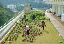 中大的天台花園位於綜合教學大樓