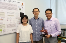 Prof. Kevin Yip (middle) and Postdoctoral fellow Ms. Cao Qin’s (left) team proposed a new method for reconstructing enhancer-target networks in human cells and tissues. Prof. Alfred Cheng (right) then applied the findings to his liver cancer research, and discovered three potential liver cancer-promoting enhancer-regulated genes.