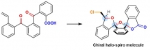 Image 2: The team led by Professors Ying-Lung Steve TSE and Yeung-Ying YEUNG successfully synthesized chiral halo-spiro molecules and explained how the process works.