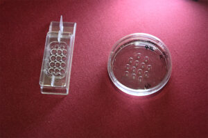 Featured in this photo are IVF embryo dish used in TLI system (left) and that of conventional method.