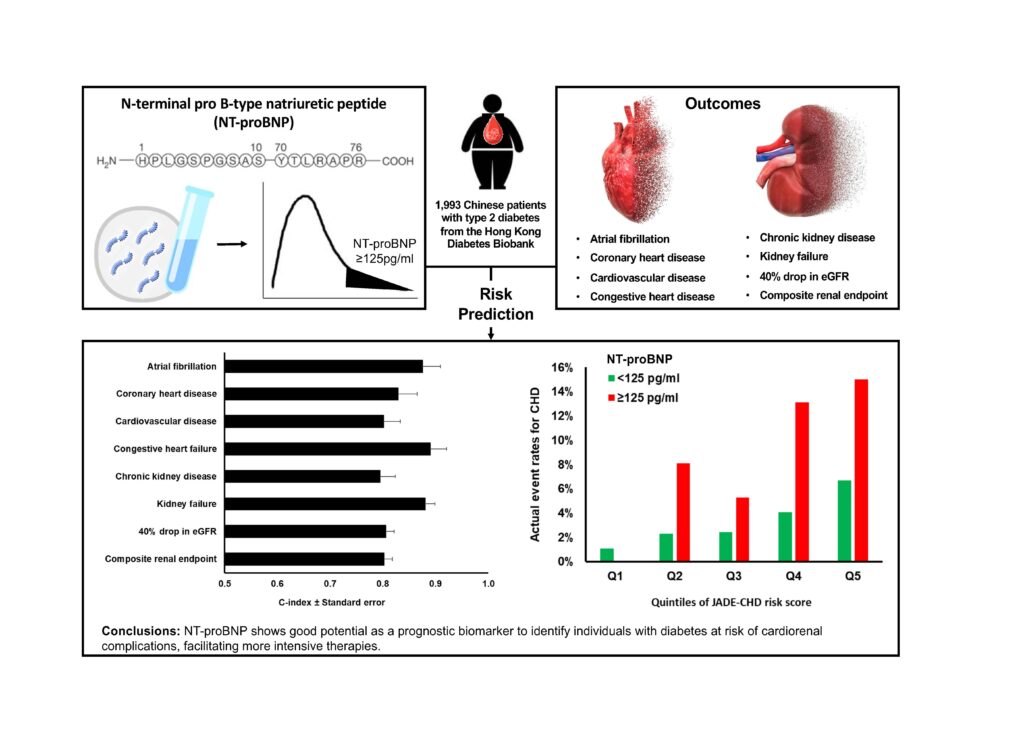 研究結果顯示NT-proBNP可作為臨床生物標誌物，及早識別心腎併發症高風險糖尿病患者，有助及早介入及提供治療。