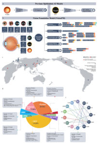 VisionFM是一個通用眼科影像模型。有別於從前小規模的專有模型，VisionFM使用了涵蓋超過50萬人群的340萬張眼科影像進行開發。它可以處理八種眼科常見模態、進行眼科疾病診斷、疾病進展預測、眼窺全身的系統性疾病預測、眼部生理結構關鍵點檢測，以及血管與病灶等分割。