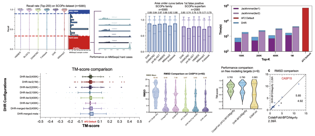 DHR 結果摘要： 在 SCOPe 數據集上的召回率，包括超家族層級的結果；在 CASP 數據集上與 JackHMMER 比較的平均執行時間效能，突顯效率的提升；以及使用 DHR 建立的 MSA 與預設 AlphaFold 2 結果比較的結構預測結果，顯示預測準確度的提升。