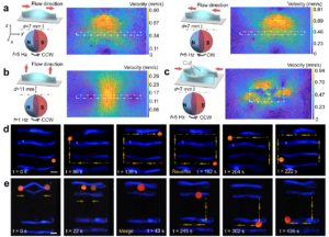 Switchable fluidic behaviours generated by the dynamic transformation of the strip structures. Flow field induced by single strip structure under different magnetic field strength and rotating direction (images a, b); Flow field induced by two strip structures with symmetric shape-morphing results (image c); Demonstration of droplet manipulation with the dynamic flow field generated by the multiple strip structures (images d, e).